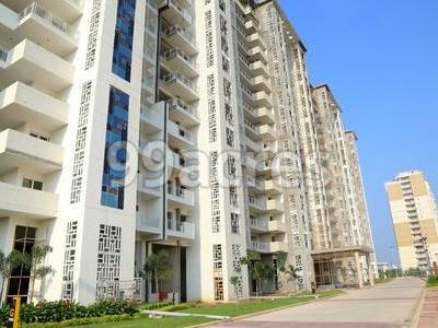 JLPL Falcon View