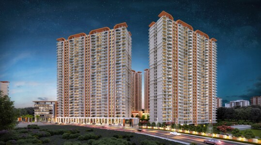 Nyati Emerald