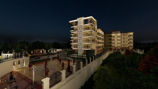Wone 8 Royal Nest