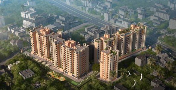 Rishi Ventoso Phase 2