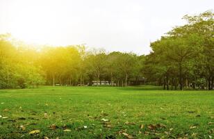 Residential land / Plot in Chi Phi, Greater Noida