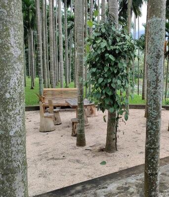 Residential land / Plot in Anaikatti, Coimbatore