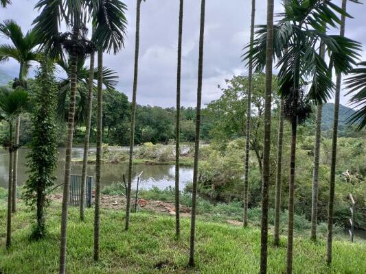 Residential land / Plot in Anaikatti, Coimbatore