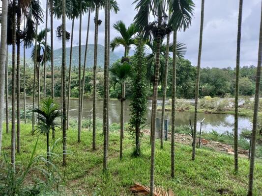 Residential land / Plot in Anaikatti, Coimbatore