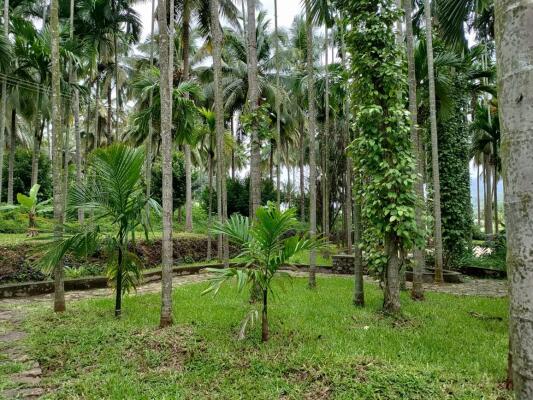 Residential land / Plot in Anaikatti, Coimbatore