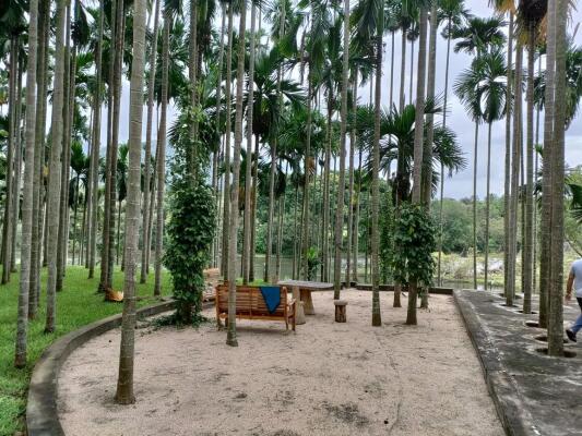 Residential land / Plot in Anaikatti, Coimbatore