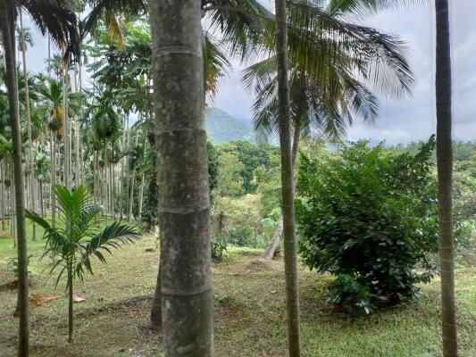 Residential land / Plot in Anaikatti, Coimbatore