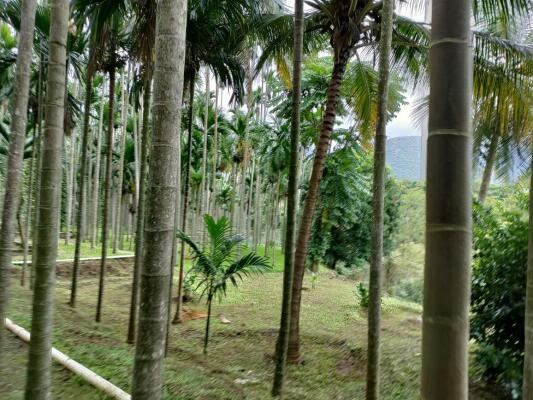 Residential land / Plot in Anaikatti, Coimbatore