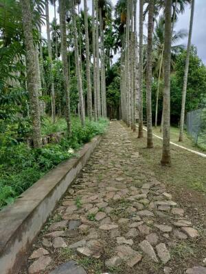 Residential land / Plot in Anaikatti, Coimbatore