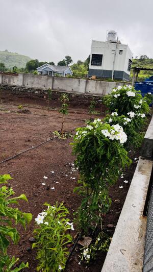 Residential land / Plot in Trimbak, Nashik