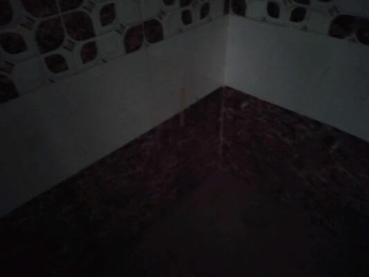 2 BHK Flat in Sector 127 Mohali