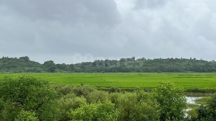 Residential land / Plot in Vindhane, Navi Mumbai