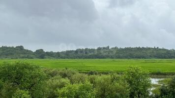 Residential land / Plot in Vindhane, Navi Mumbai