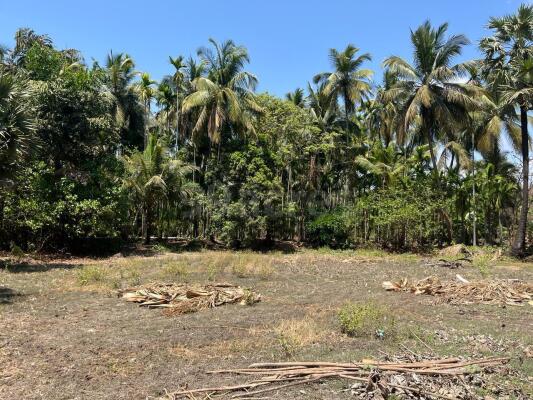 Residential land / Plot in Vindhane, Navi Mumbai
