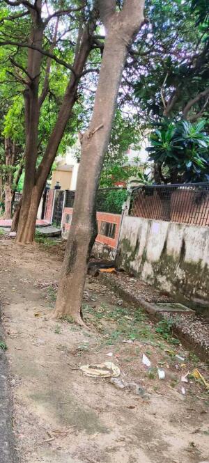 2 Bedroom House in Sigma 4, Greater Noida