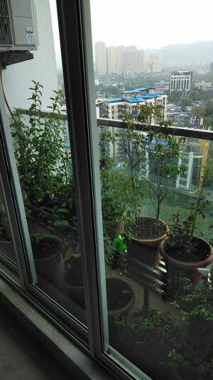 4 BHK Flat in Laxmi Nagar, Thane West