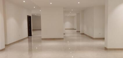 4 BHK Independent Builder Floor in Shanti Niketan, Delhi