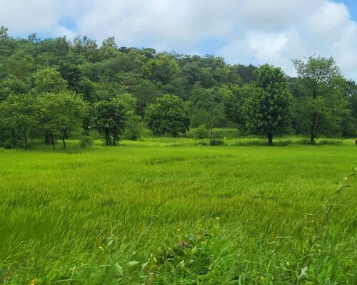 Residential land / Plot in Chiplun, Ratnagiri