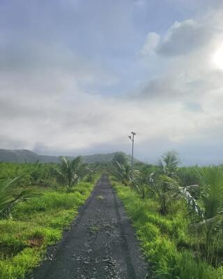 Residential land / Plot in Chiplun, Ratnagiri