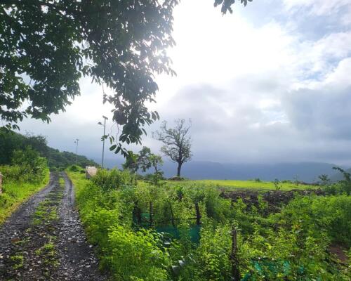 Residential land / Plot in Chiplun, Ratnagiri