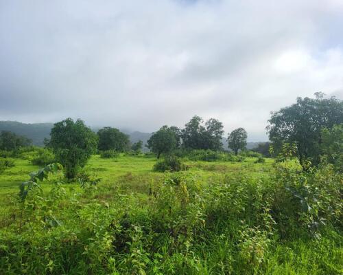 Residential land / Plot in Chiplun, Ratnagiri