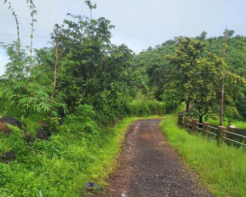 Residential land / Plot in Chiplun, Ratnagiri