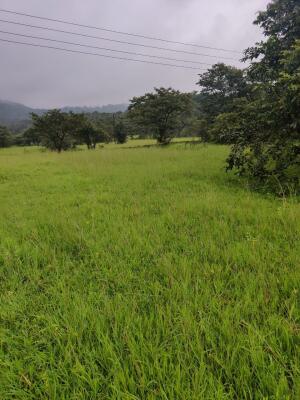 Residential land / Plot in Chiplun, Ratnagiri