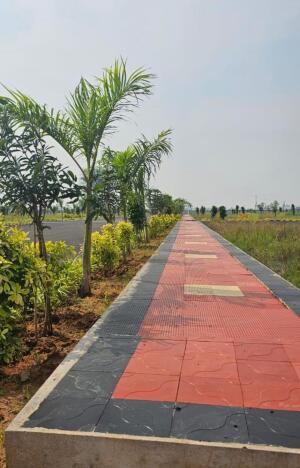 Residential land / Plot in Kunchanapalli, Guntur