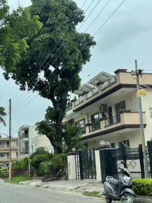 6 Bedroom House in Sector 18 Chandigarh