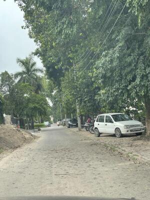 6 Bedroom House in Sector 18 Chandigarh