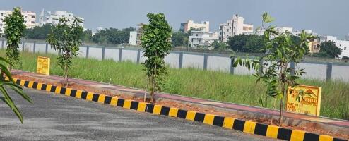 Residential land / Plot in Dharanikota, Guntur