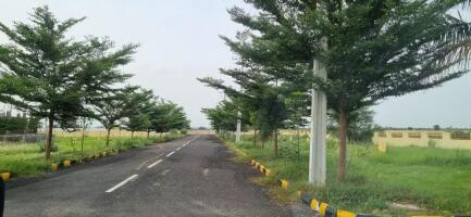 Residential land / Plot in Kunchanapalli, Guntur