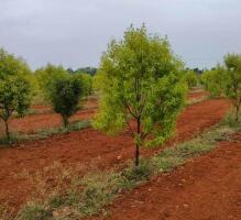 Residential land / Plot in IRC Village, Bhubaneswar