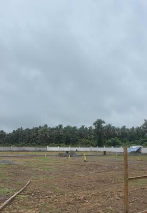 Residential land / Plot in R Ponnapuram, Pollachi