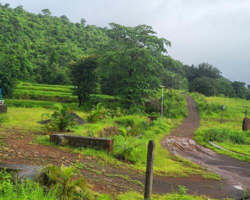 Residential land / Plot in Chiplun, Ratnagiri