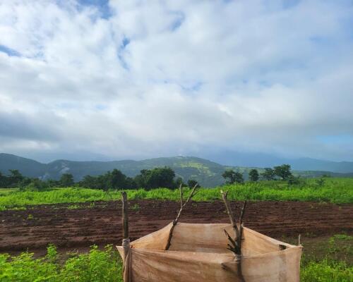 Residential land / Plot in Chiplun, Ratnagiri