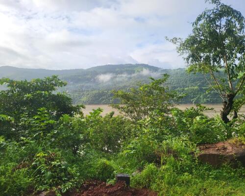Residential land / Plot in Chiplun, Ratnagiri