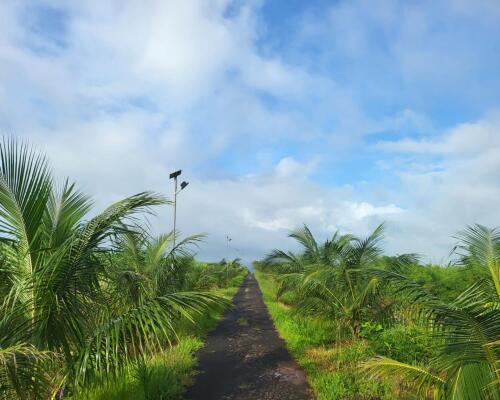 Residential land / Plot in Chiplun, Ratnagiri