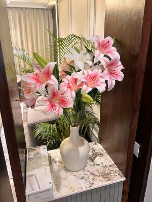6 Bedroom House in Sector 15 Panchkula
