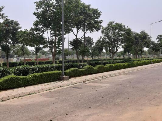 Residential land / Plot in Sector 98 Mohali