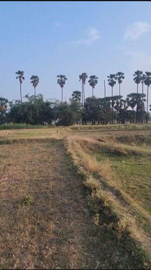Residential land / Plot in Shivala Par, Patna