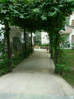 3 BHK Flat in Sector 77, Noida