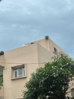 5 Bedroom House in Sector 8 Chandigarh