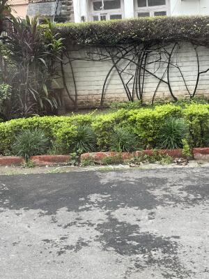 5 Bedroom House in Sector 8 Chandigarh