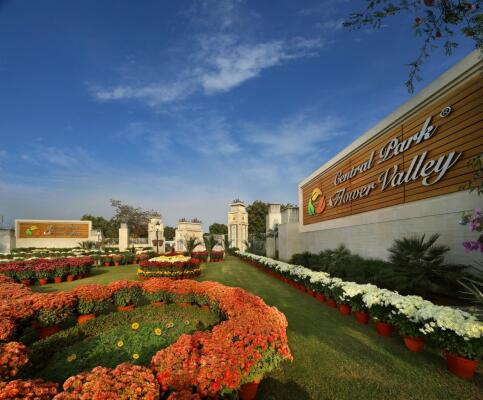 Residential land / Plot in Sohna Road, Gurgaon