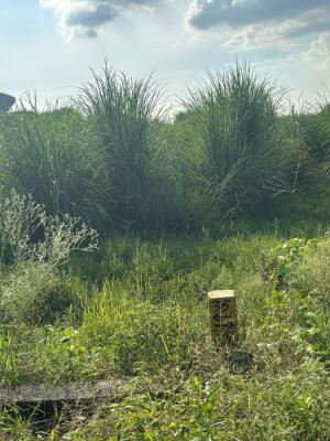 Residential land / Plot in Block M Sector-20 Yamuna Expressway, Greater Noida