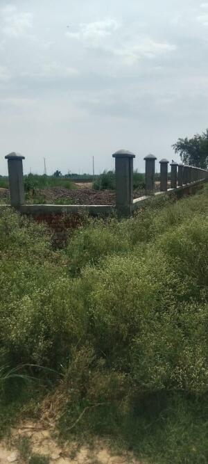 Residential land / Plot in Block M Sector-20 Yamuna Expressway, Greater Noida