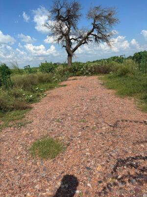 Residential land / Plot in Block M Sector-20 Yamuna Expressway, Greater Noida