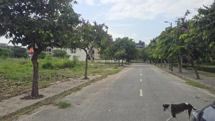 Residential land / Plot in Surajkund, Faridabad
