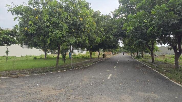 Residential land / Plot in Surajkund, Faridabad